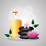 skin care bottle stones spa treatment therapy vector illustration